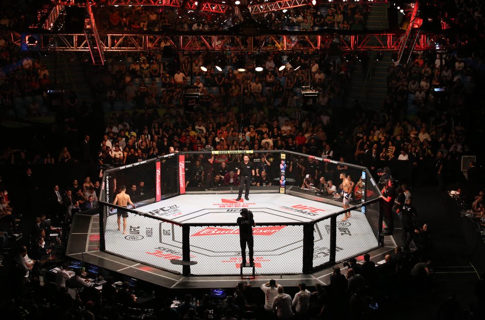 Guia Completo para Assistir Lutas UFC ao Vivo