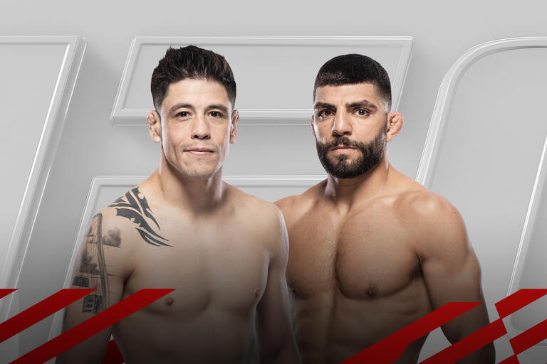 Brandon Moreno vs Amir Albazi