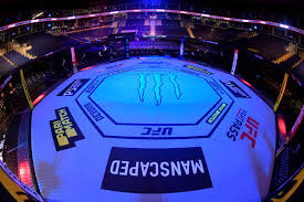 cashout apostas UFC Brasil quando usar