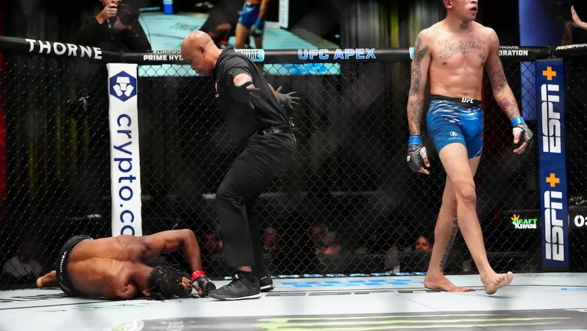 estratégias para apostar em underdogs no UFC