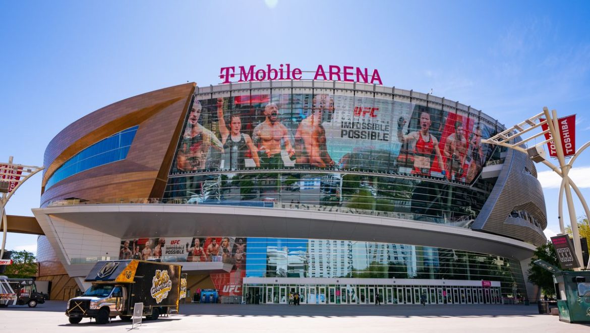 UFC 317 International Fight Week 2025