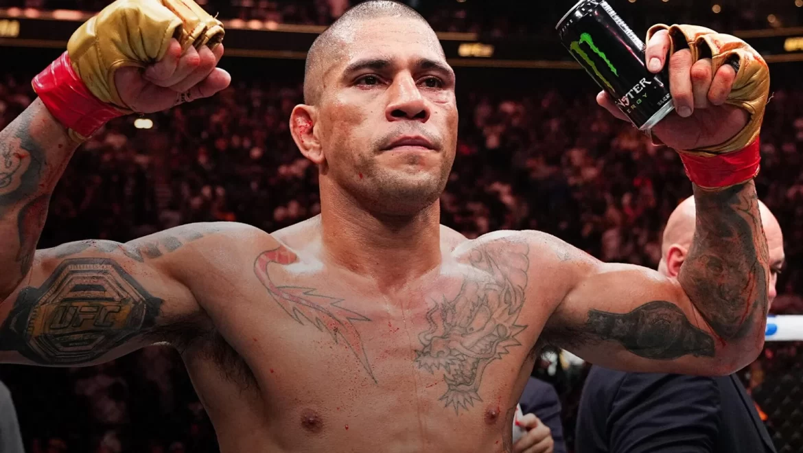 Alex Pereira: treinos para UFC 320